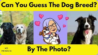 Dog Lovers Only: Take the Ultimate Dog Breed Guessing Game!