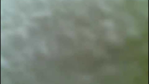 اخر سورة النبأ .للشيخ القارئ  مصطفى الجكني الشنقيطي