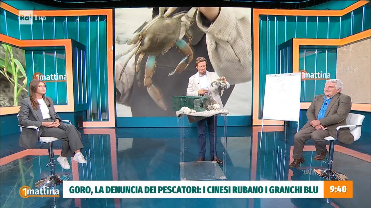 L'invasione dei granchi blu - Unomattina - 28/09/2022