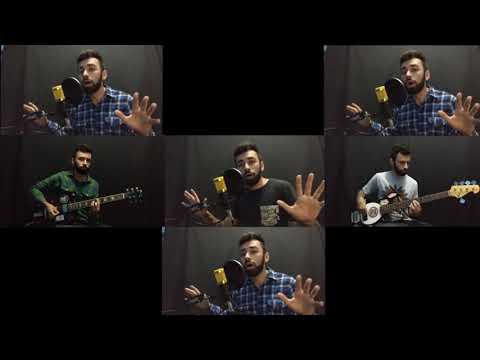 Red hot chili Peppers - cant stop (Thiago cover)