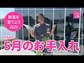 #582 新苗を育てよう2026【木花姫さくや】5月のお手入れ