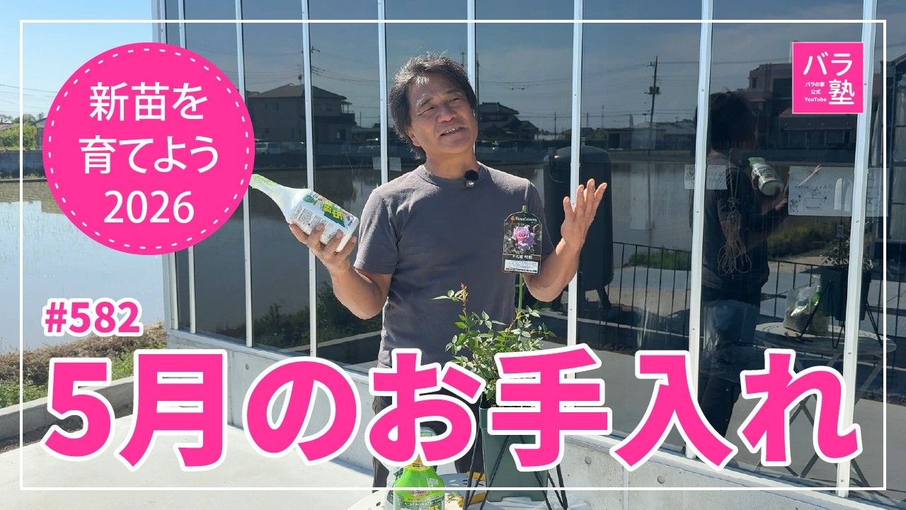 582 Let's Grow New Seedlings 2026 [Konohanahime Sakuya] May Care