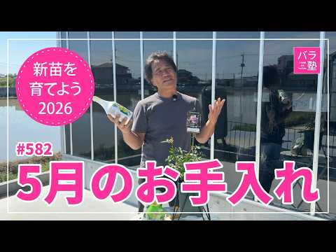 582 Let's Grow New Seedlings 2026 [Konohanahime Sakuya] May Care