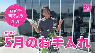 582 Let's Grow New Seedlings 2026 [Konohanahime Sakuya] May Care