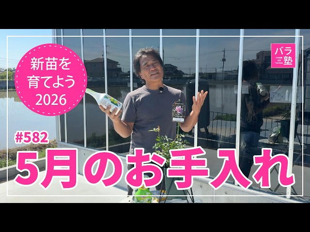 582 Let's Grow New Seedlings 2026 [Konohanahime Sakuya] May Care