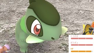 【ポケモンGO】只今激レア湧き中！？あのキバゴや〇〇超個体とあの色違いもやってきた・・！【アローラシーズン・色違いポケモン・ニアバイ・ワシボン】