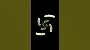 Improved Natural Minor Polyrhythm Wheel #animation #music #polyrhythms #visualmusic #clocks