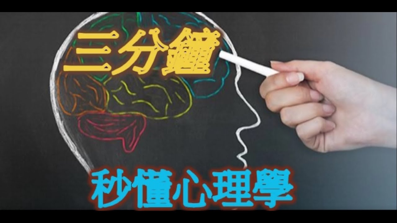 三分鐘秒懂心理學羊群效應 從眾行為 Youtube