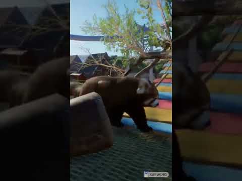 Red Panda Habitat