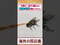 【衝撃】偶然とは思えない“完璧すぎる写真”まとめ12選
