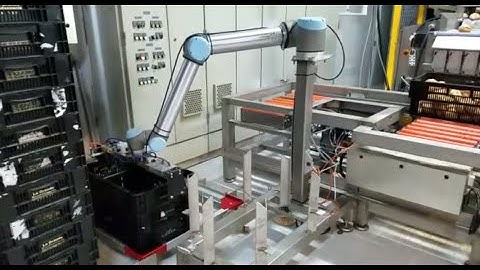 Robotray® COLLABORATIVE (ENG)