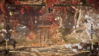 Sub Zero Uppercut Krushing Blow combo 46 percent