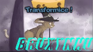 TRANSFORMICE - Bruxynhu