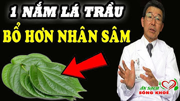 Nếu Biết Sớm dùng LÁ TRẦU Kiểu Này CỰC TỐT CHO SỨC KHỎE, Giúp Khí Huyết Lưu Thông Sống Khỏe Rất Mạnh