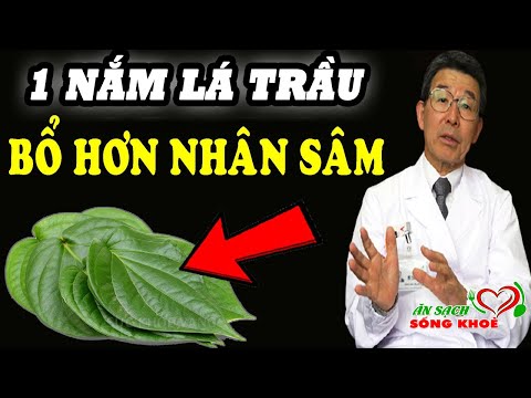 Video: Hạt trần rụng lá duy nhất là gì?