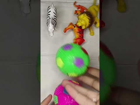 اي اي اي الأسد المتوحش جاي  