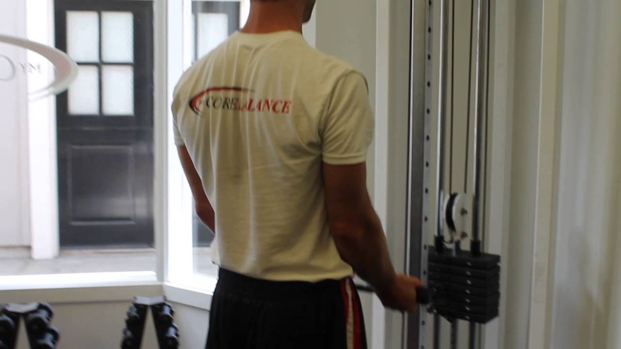 exercise 14.1 class 11 Cable Bicep Curl