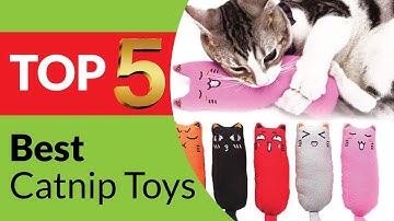 Top 5 Best Catnip Toys Review in 2025 [Tested & Reviewed]