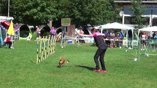 20180701 1 LM Schwanenstadt J LK 3 Eva mit Rusty