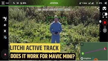 DJI Mavic Mini ACTIVE TRACK TEST with LITCHI Beta Android