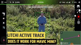 DJI Mavic Mini ACTIVE TRACK TEST with LITCHI Beta Android