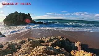 Ocean's Embrace: Dynamic Waves and Coastal Majesty by Sounds of the Sea 171 views 2 weeks ago 27 minutes