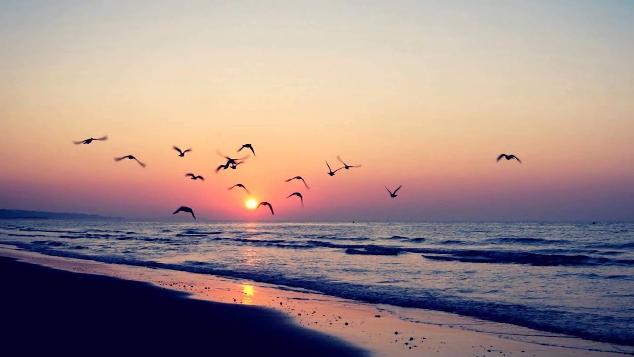 The Thrillseekers - Synaesthesia (Chris Metcalfe Rework) FSOE 335