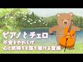 Piano and Cello music to ease anxiety and calm the mind and spirit. [TENDER TONE]