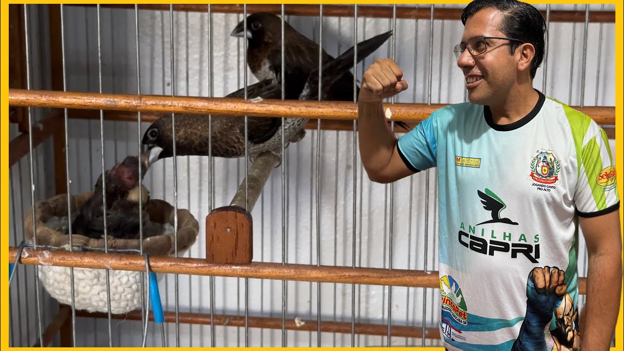 A EXPERIÊNCIA QUE EU TIVE COM AMA SECA