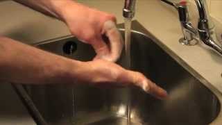 Hand Hygiene in Veterinary Practice presented by the Bella Moss Foundation