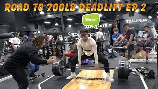 Everyone Stopped To Watch Me Deadlift At Alphaland