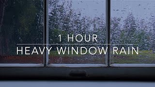 Rain on Window - Sleep Sounds Rain - 1 hour Rain ASMR by ΣHAANTI - Virtual Environment 59,345 views 10 months ago 1 hour