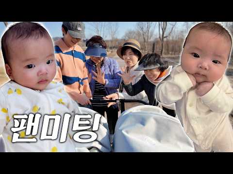 산책 나갔다가 팬미팅 열림… (실화)