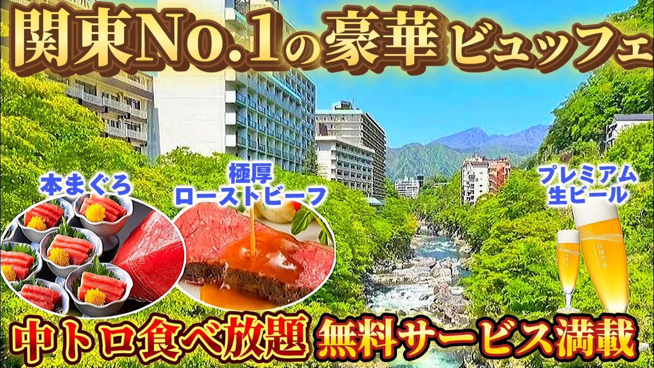 【栃木】最高品質の超豪華ビュッフェ&飲み放題！無料サービス満載で温泉の種類も豊富なホテルがヤバすぎました