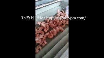 Máy cạo vỏ gừng non, gừng ngâm muối