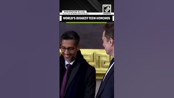 Google CEO Sundar Pichai, Tesla CEO Elon Musk engage in light-hearted convo