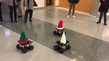 Swarmathon check in 2