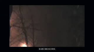 iamrw β Bare Branches