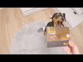 フィラリア薬を月に一度の高級おやつだと思い込んでる犬