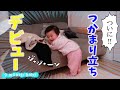 【ひとりでできるもん!】つかまり立ちをマスターした生後9か月赤ちゃん【育児Vlog】