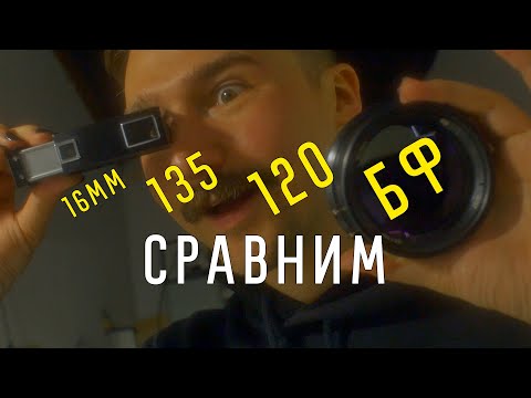 Видео: Европейска лиственица (43 снимки): описание на формата на махалата, характеристики на сортовете 