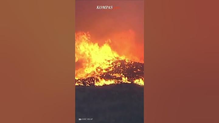 Apa Penyebab Kebakaran yang Kembali Melanda Los Angeles?