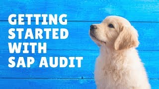 SAP GRC SOD Concept with SUIM for Auditors