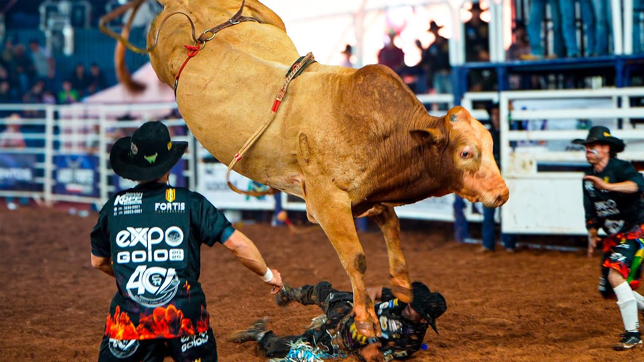 Acr Rodeio A grande FINAL em TOUROS do Rodeio de Goioerê-PR - Emoção na etapa ACR ...
