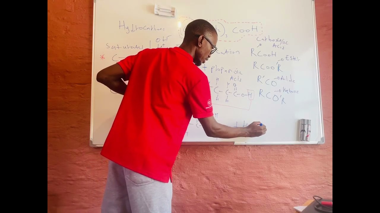 Esterification  Reactions part A grade 12