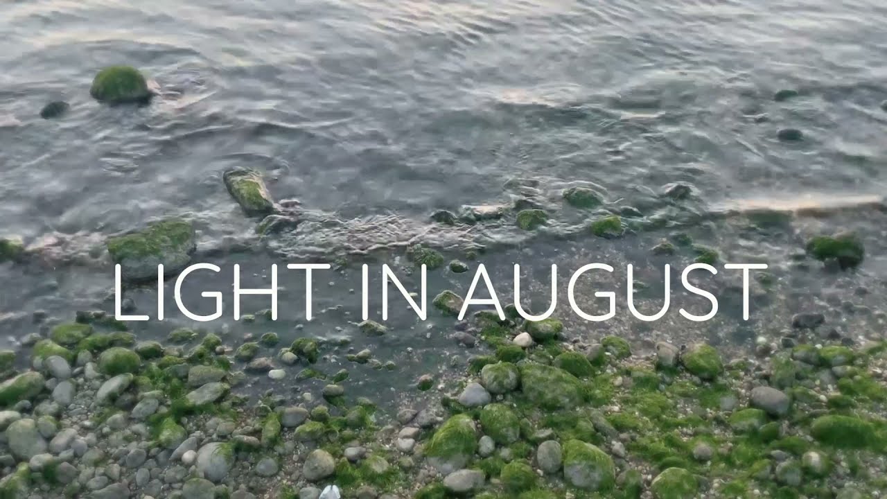 Light in August