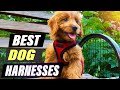 STOP PULLING! The BEST Dog Harnesses of 2026 (Top 7 No-Pull & Comfort Reviews)
