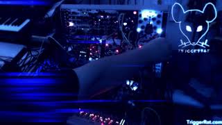 Michigan Synth Works Chronovore - Eurorack Module on ModularGrid
