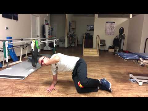 Short Lever Side Plank with Reach and Head Turn