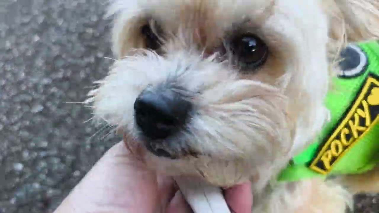 3月8日 日曜日神奈川県立相模原公園です